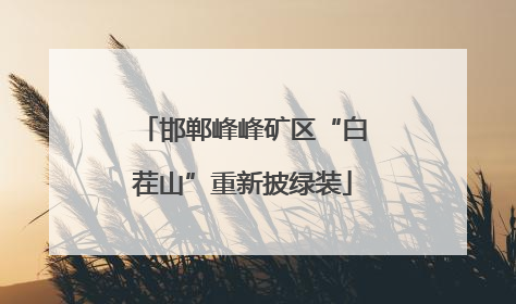 邯郸峰峰矿区“白茬山”重新披绿装