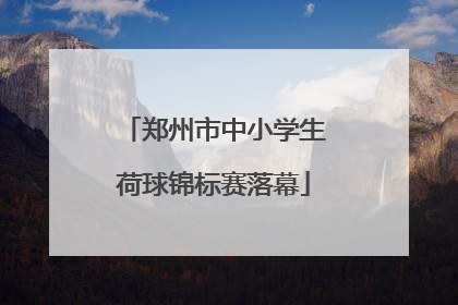郑州市中小学生荷球锦标赛落幕