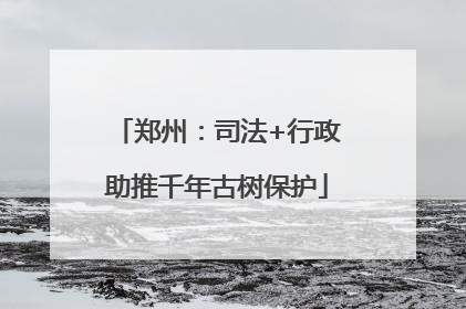 郑州：司法+行政助推千年古树保护