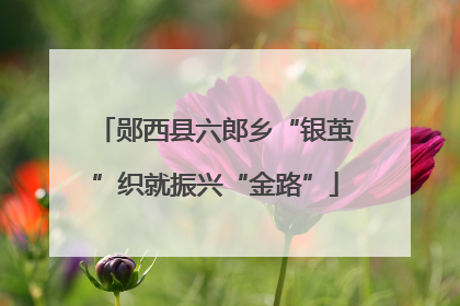 郧西县六郎乡“银茧”织就振兴“金路”