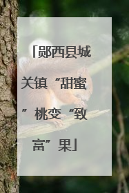 郧西县城关镇“甜蜜”桃变“致富”果