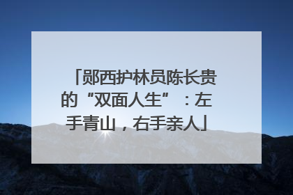 郧西护林员陈长贵的“双面人生”：左手青山，右手亲人
