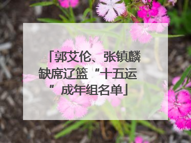 郭艾伦、张镇麟缺席辽篮“十五运”成年组名单