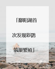 鄱阳湖首次发现彩鹮筑巢繁殖