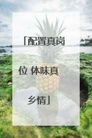 配置真岗位 体味真乡情