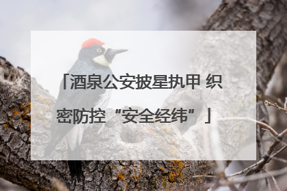 酒泉公安披星执甲 织密防控“安全经纬”