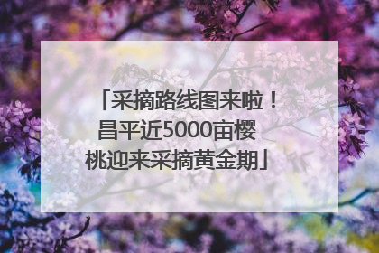 采摘路线图来啦！昌平近5000亩樱桃迎来采摘黄金期
