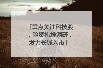 重点关注科技股，险资扎堆调研，发力长钱入市