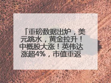 重磅数据出炉，美元跳水，黄金拉升！中概股大涨！英伟达涨超4%，市值重返全球第一！黄仁勋计划出售至多600万股股票