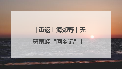 重返上海郊野｜无斑雨蛙“回乡记”