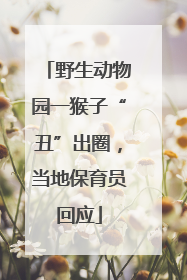 野生动物园一猴子“丑”出圈，当地保育员回应