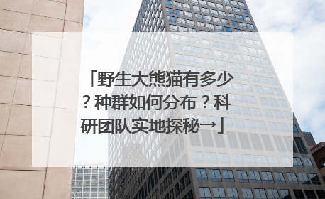 野生大熊猫有多少？种群如何分布？科研团队实地探秘→