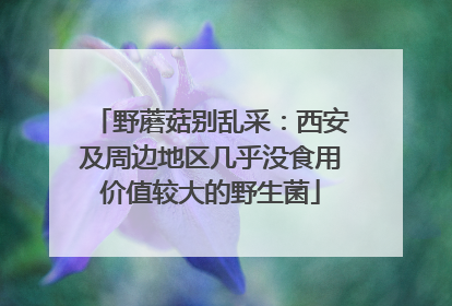 野蘑菇别乱采：西安及周边地区几乎没食用价值较大的野生菌