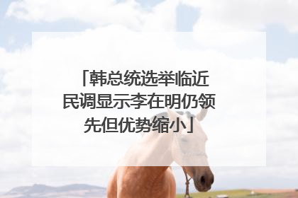 韩总统选举临近 民调显示李在明仍领先但优势缩小