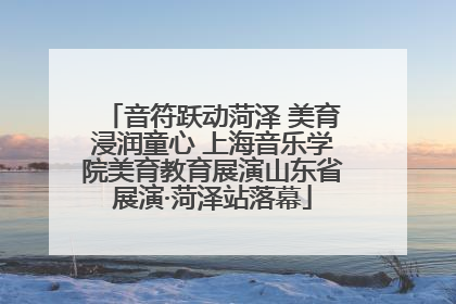 音符跃动菏泽 美育浸润童心 上海音乐学院美育教育展演山东省展演·菏泽站落幕
