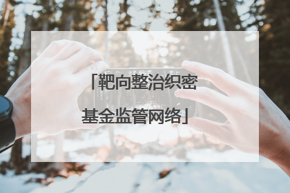 靶向整治织密基金监管网络