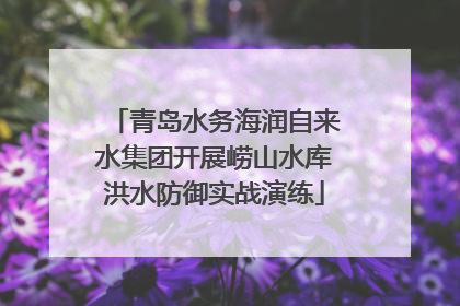 青岛水务海润自来水集团开展崂山水库洪水防御实战演练