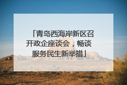 青岛西海岸新区召开政企座谈会，畅谈服务民生新举措