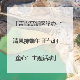 青岛高新区举办“清风拂端午 正气润童心”主题活动