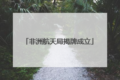 非洲航天局揭牌成立