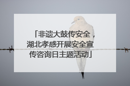 非遗大鼓传安全，湖北孝感开展安全宣传咨询日主题活动
