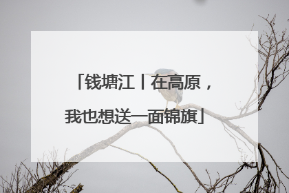 钱塘江丨在高原，我也想送一面锦旗