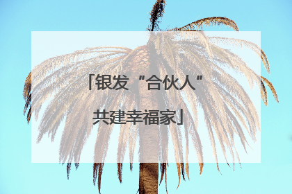 银发“合伙人” 共建幸福家