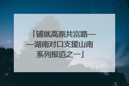 铺就高原共富路——湖南对口支援山南系列报道之一