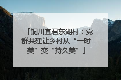 铜川宜君东湖村：党群共建让乡村从“一时美”变“持久美”