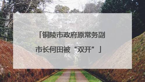 铜陵市政府原常务副市长何田被“双开”