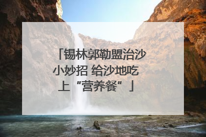 锡林郭勒盟治沙小妙招 给沙地吃上“营养餐”
