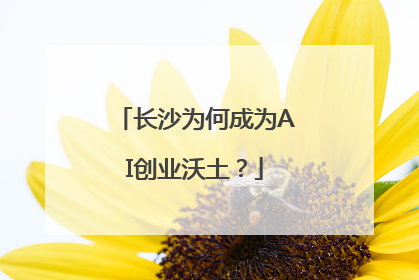 长沙为何成为AI创业沃土？