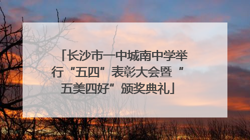 长沙市一中城南中学举行“五四”表彰大会暨“五美四好”颁奖典礼