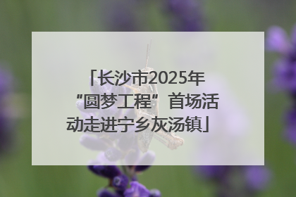 长沙市2025年“圆梦工程”首场活动走进宁乡灰汤镇
