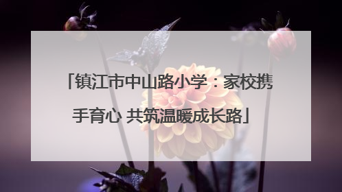镇江市中山路小学：家校携手育心 共筑温暖成长路