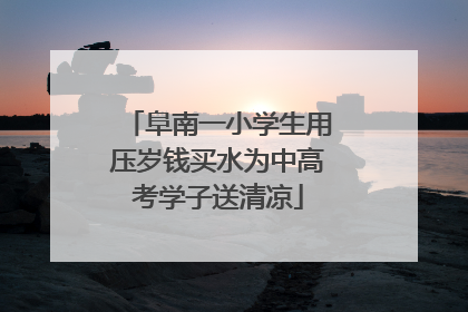 阜南一小学生用压岁钱买水为中高考学子送清凉