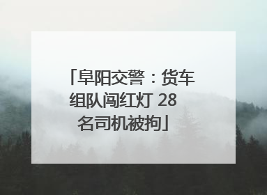阜阳交警：货车组队闯红灯 28名司机被拘