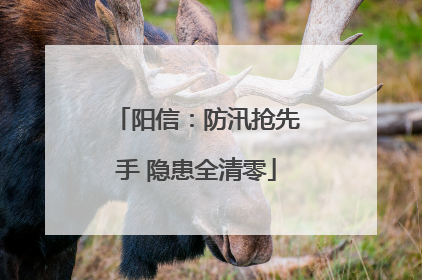 阳信：防汛抢先手 隐患全清零