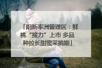 阳新率洲管理区：鲜桃“接力”上市 多品种拉长甜蜜采摘期