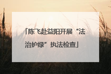 陈飞赴益阳开展“法治护绿”执法检查
