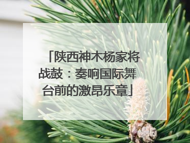 陕西神木杨家将战鼓：奏响国际舞台前的激昂乐章