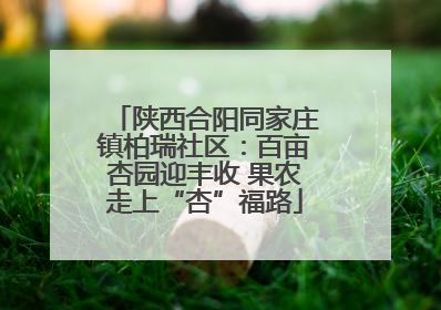 陕西合阳同家庄镇柏瑞社区：百亩杏园迎丰收 果农走上“杏”福路