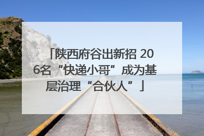 陕西府谷出新招 206名“快递小哥”成为基层治理“合伙人”