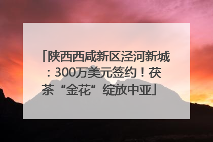 陕西西咸新区泾河新城：300万美元签约！茯茶“金花”绽放中亚