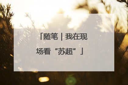 随笔｜我在现场看“苏超”