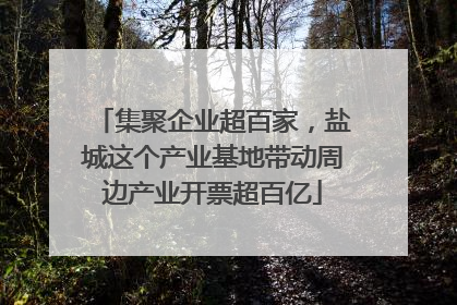 集聚企业超百家，盐城这个产业基地带动周边产业开票超百亿