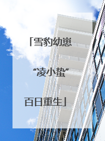 雪豹幼崽“凌小蛰”百日重生