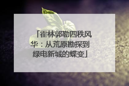 霍林郭勒四秩风华：从荒原勘探到绿电新城的蝶变