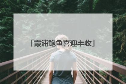 霞浦鲍鱼喜迎丰收