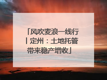风吹麦浪一线行丨定州：土地托管带来稳产增收